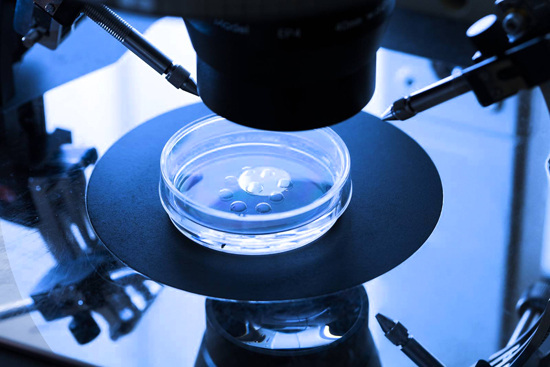 Posthumous use of Gametes and the Protection of Future&nbsp;Families